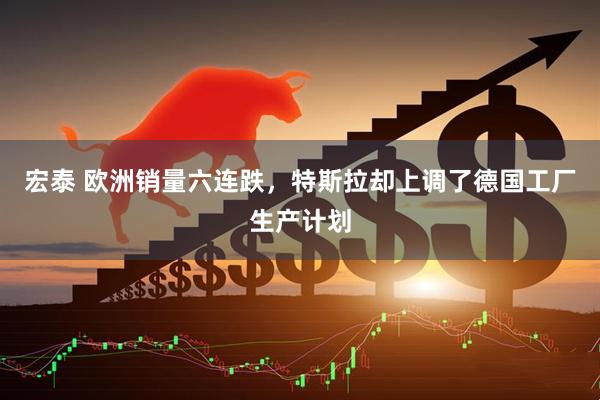 宏泰 欧洲销量六连跌，特斯拉却上调了德国工厂生产计划