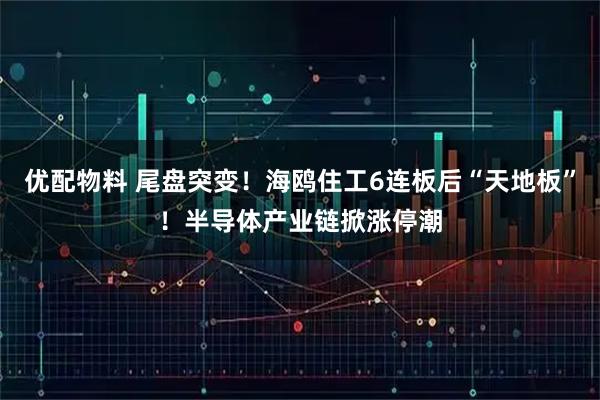 优配物料 尾盘突变！海鸥住工6连板后“天地板”！半导体产业链掀涨停潮
