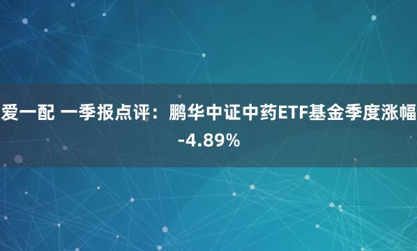 爱一配 一季报点评：鹏华中证中药ETF基金季度涨幅-4.89%