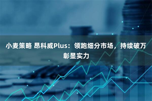 小麦策略 昂科威Plus：领跑细分市场，持续破万彰显实力