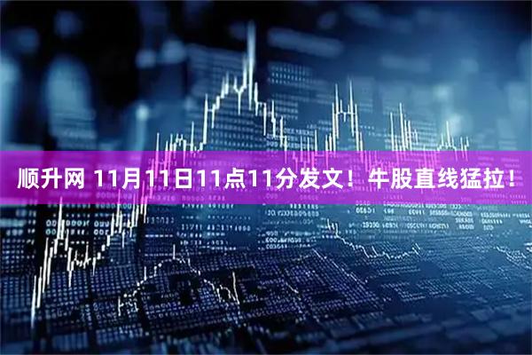 顺升网 11月11日11点11分发文!牛股直线猛拉!